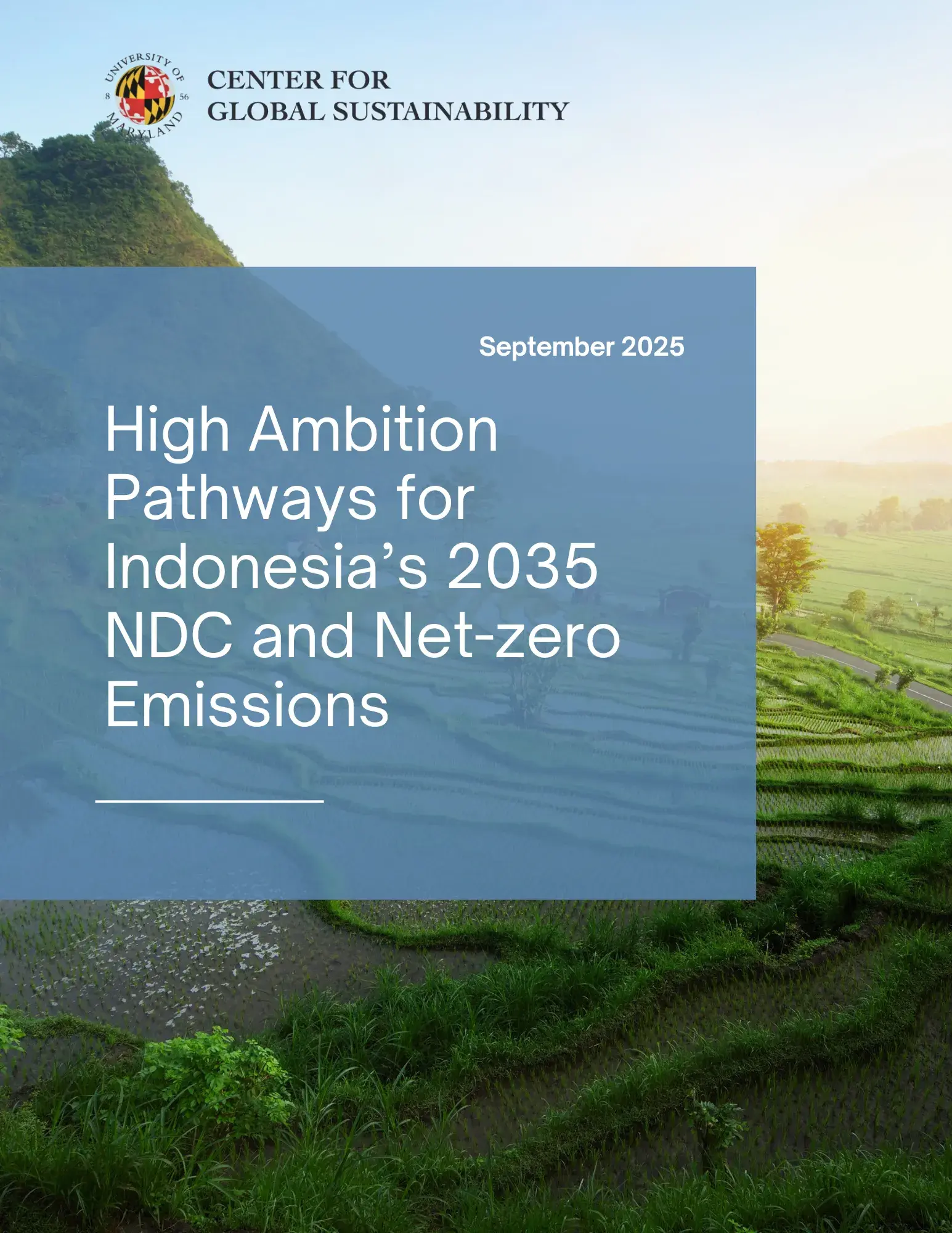 Indonesia Report Cover